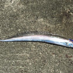 ビギナーズラック発動