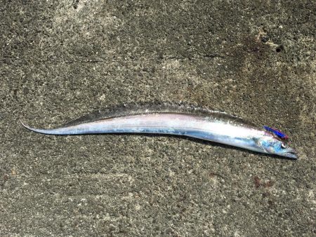 ビギナーズラック発動