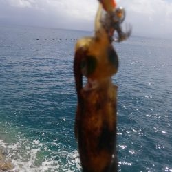 3連休後 墨跡、激増