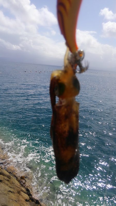 3連休後 墨跡、激増