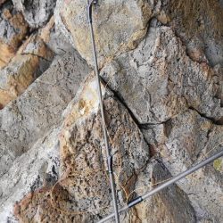 やっと、100g アップしたのに？