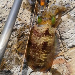 サイズは？数は？