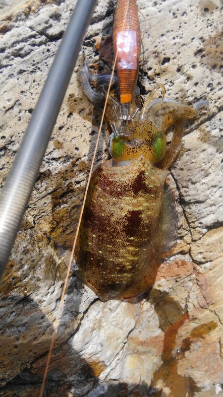 サイズは？数は？