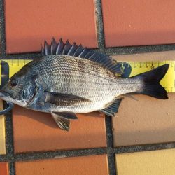 場所移動成功！！