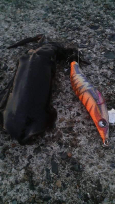 エギ王VS餌木蔵