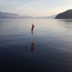 秋イカエギング調査