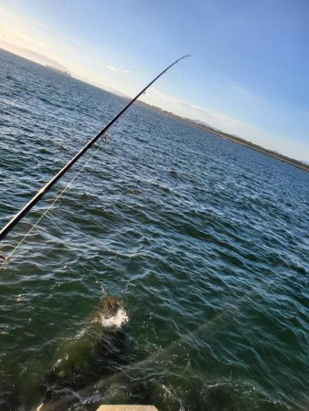 人が多いわりには…