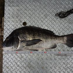 自己新記録‼️