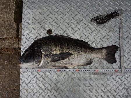 自己新記録‼️