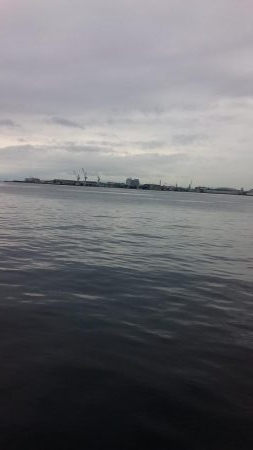 タチウオとハマチとサゴシ