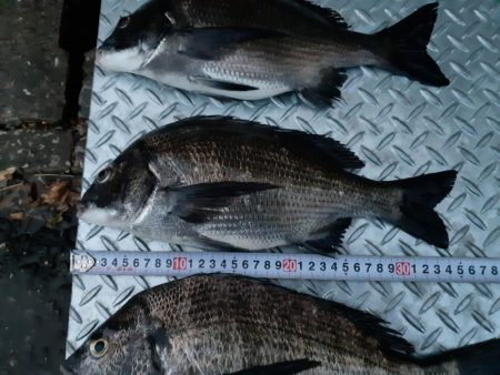 大潮の夕マヅメはアツイ❗