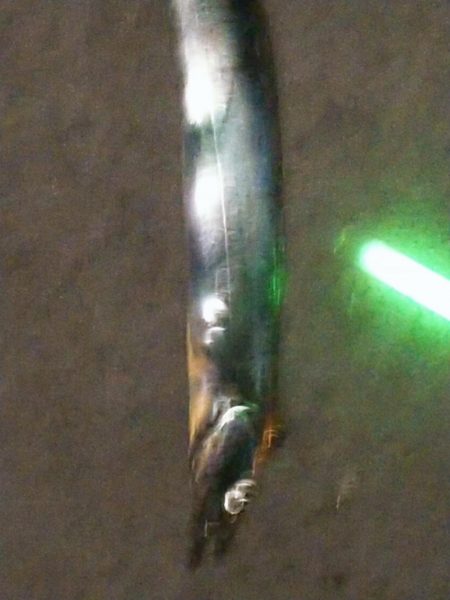 食い逃げダッシュ