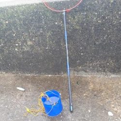 グレの40オーバー!