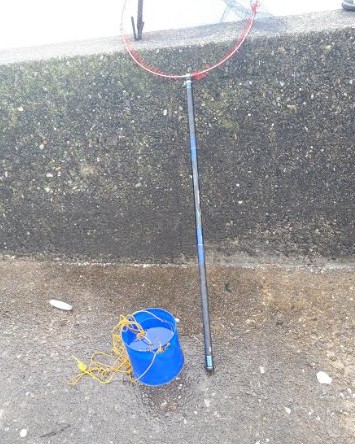 グレの40オーバー!