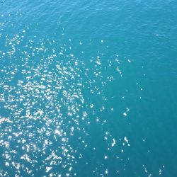 65オーバーのスズキ!!!!!やった~~~~~!!!!!!!