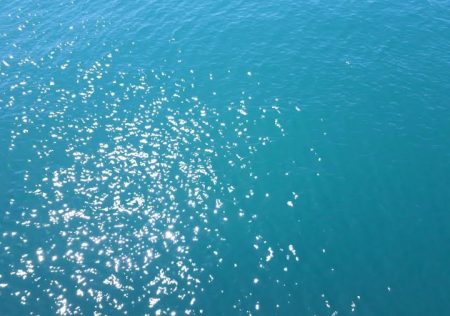 65オーバーのスズキ!!!!!やった~~~~~!!!!!!!