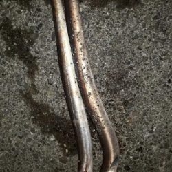 1ｍオーバーのハモ３匹！！