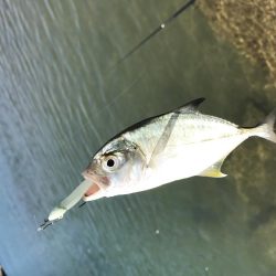 メッキ祭りの後に！