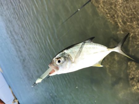 メッキ祭りの後に！