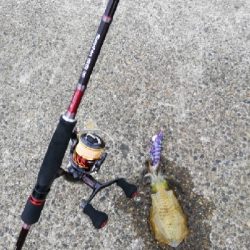 雨の日エギング