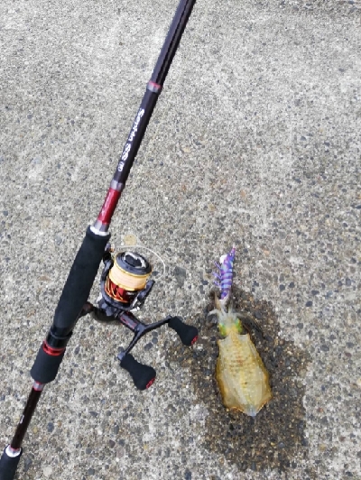 雨の日エギング