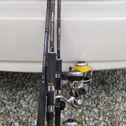 神戸沖堤防。ツバス祭り継続