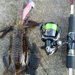 狙った時間帯にGET