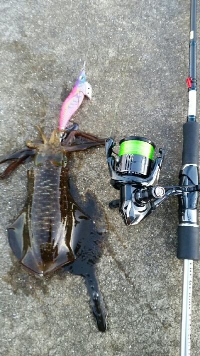 狙った時間帯にGET