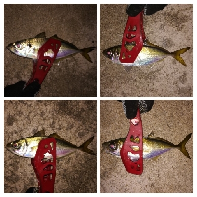 アジンガー1835〜1924