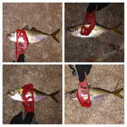 アジンガー1808〜1859