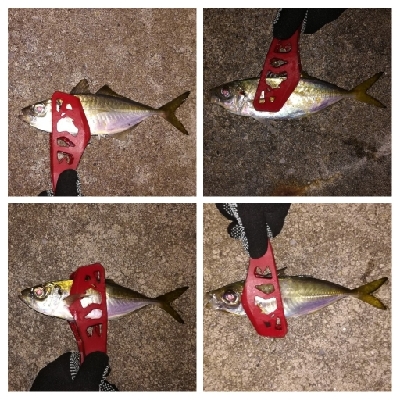 アジンガー1808〜1859