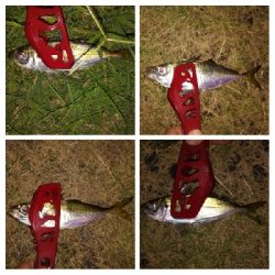 アジンガー1759〜1921