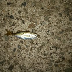 狙いと違うけど