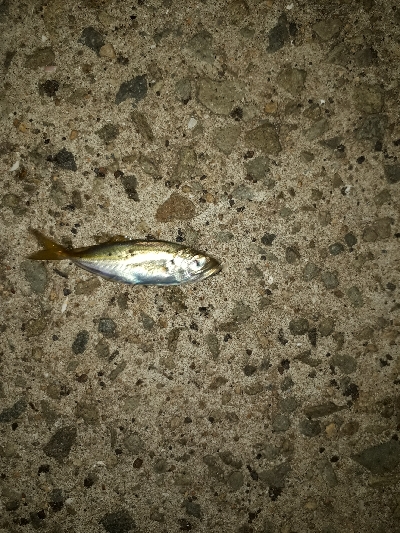 狙いと違うけど