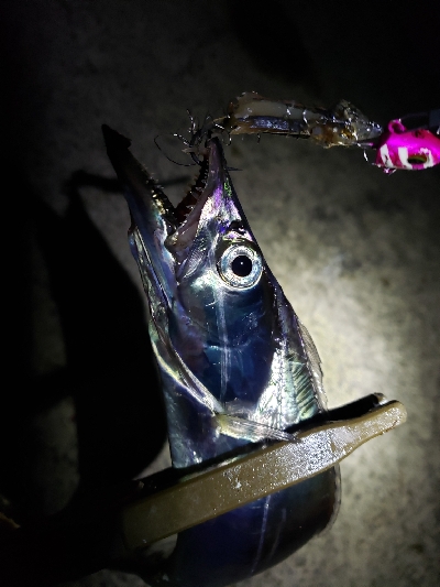 トリプルツヌケ