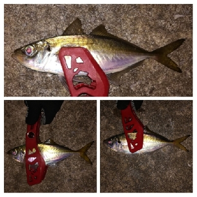 アジンガー1805〜1859