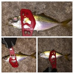 アジンガー1810〜1852