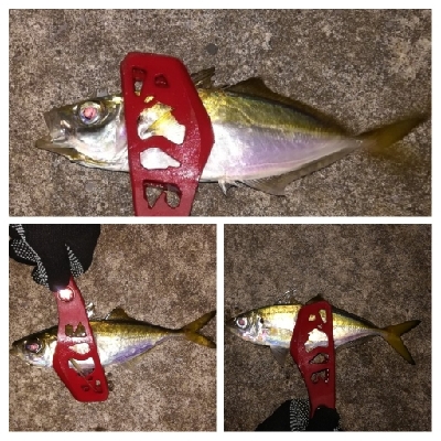 アジンガー1810〜1852