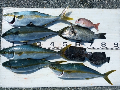 集中、執念、我慢！