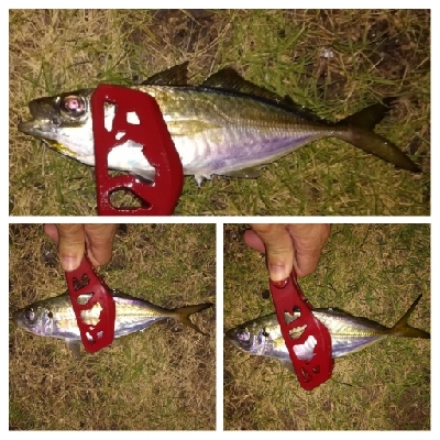 アジンガー1810〜1857 1955〜2022