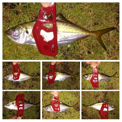 アジンガー1905〜2035