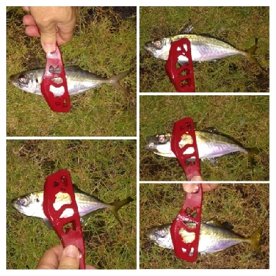 アジンガー1835〜2015