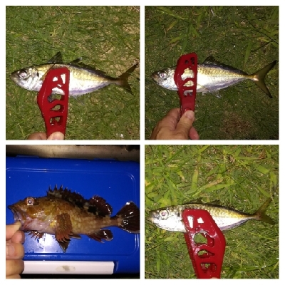 アジンガー1910〜1940