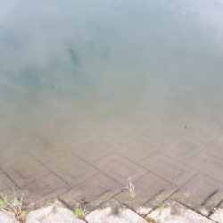 和歌山県紀の川釣行