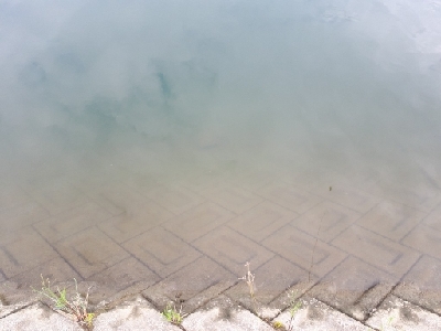 和歌山県紀の川釣行