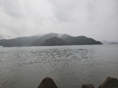 久しぶりのサゴシ