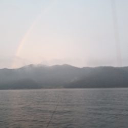 今日も小さいやつ