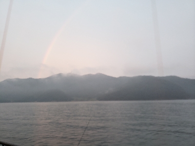 今日も小さいやつ