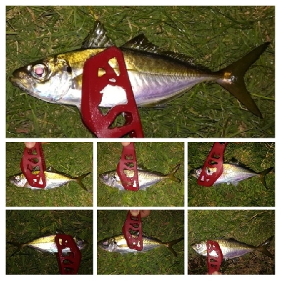 アジンガー1840〜1935 2105〜2150