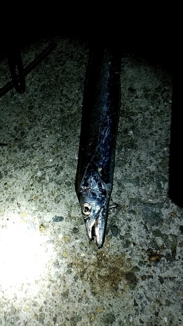 つばーす×たちうお